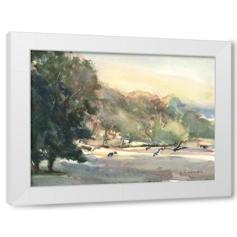 Sunlit Pasture I White Modern Wood Framed Art Print by Calcasola, Stephen