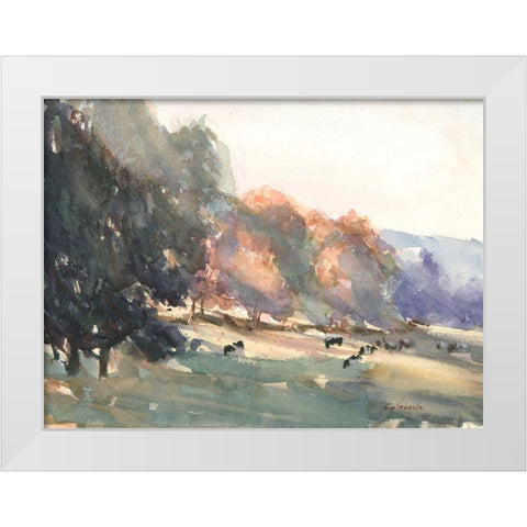 Sunlit Pasture II White Modern Wood Framed Art Print by Calcasola, Stephen