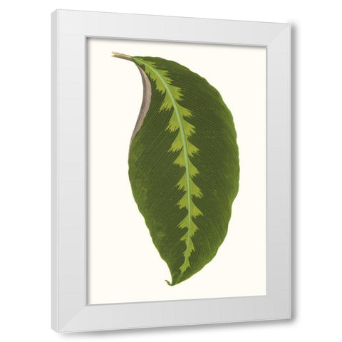 Collected Leaves I White Modern Wood Framed Art Print by Vision Studio