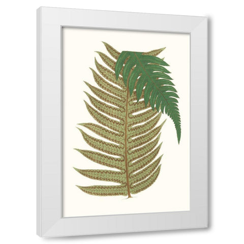 Collected Leaves II White Modern Wood Framed Art Print by Vision Studio