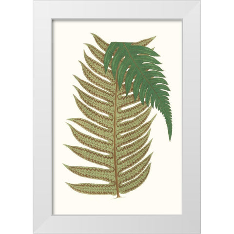 Collected Leaves II White Modern Wood Framed Art Print by Vision Studio