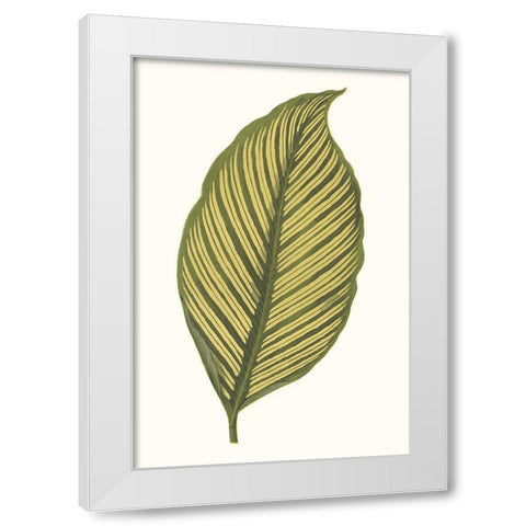 Collected Leaves III White Modern Wood Framed Art Print by Vision Studio