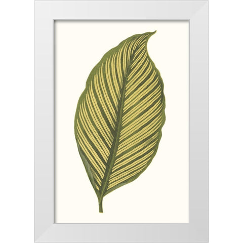 Collected Leaves III White Modern Wood Framed Art Print by Vision Studio