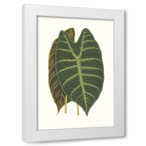 Collected Leaves V White Modern Wood Framed Art Print by Vision Studio