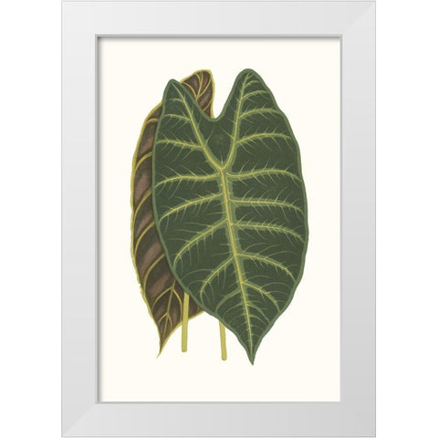 Collected Leaves V White Modern Wood Framed Art Print by Vision Studio