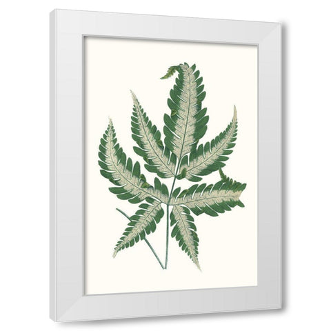 Collected Leaves VI White Modern Wood Framed Art Print by Vision Studio