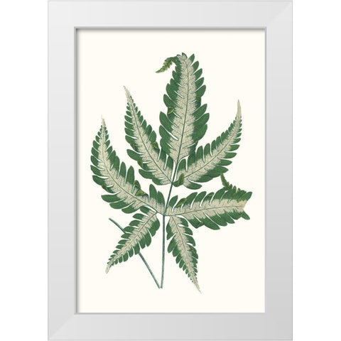 Collected Leaves VI White Modern Wood Framed Art Print by Vision Studio