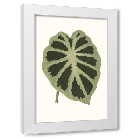 Collected Leaves VII White Modern Wood Framed Art Print by Vision Studio