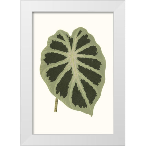 Collected Leaves VII White Modern Wood Framed Art Print by Vision Studio