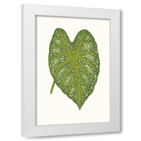 Collected Leaves IX White Modern Wood Framed Art Print by Vision Studio