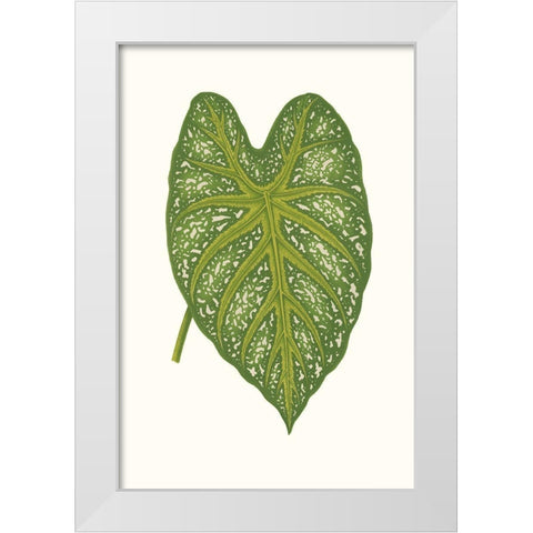 Collected Leaves IX White Modern Wood Framed Art Print by Vision Studio