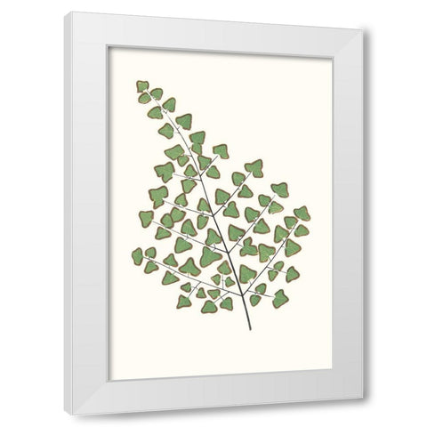 Collected Leaves X White Modern Wood Framed Art Print by Vision Studio