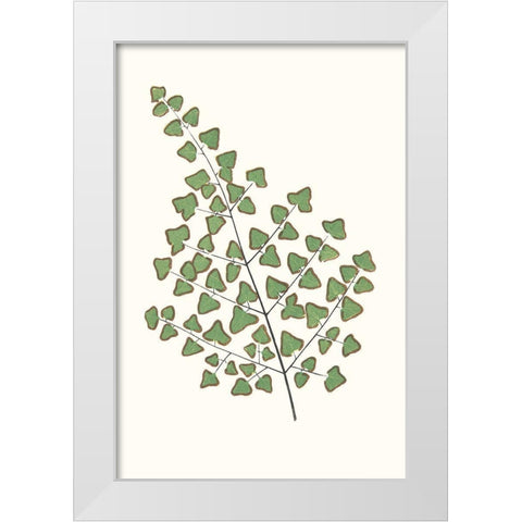 Collected Leaves X White Modern Wood Framed Art Print by Vision Studio
