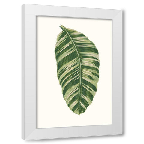 Collected Leaves XI White Modern Wood Framed Art Print by Vision Studio