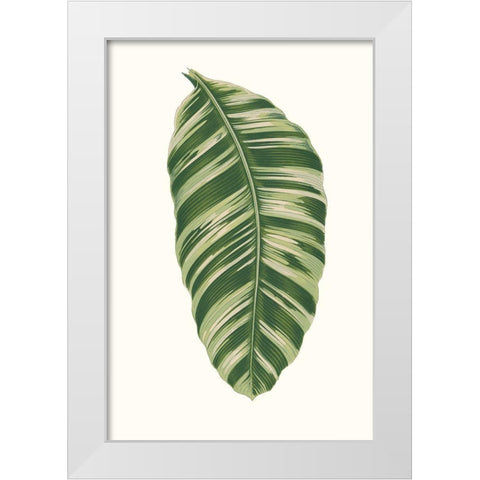 Collected Leaves XI White Modern Wood Framed Art Print by Vision Studio