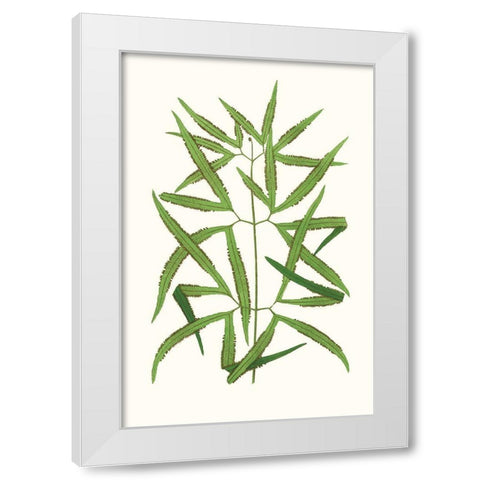 Collected Leaves XII White Modern Wood Framed Art Print by Vision Studio