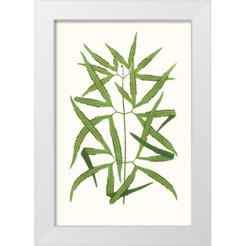 Collected Leaves XII White Modern Wood Framed Art Print by Vision Studio