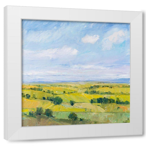 Picturesque View II White Modern Wood Framed Art Print by OToole, Tim