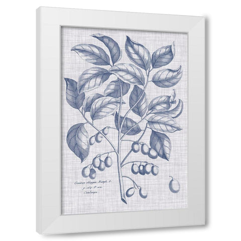 Navy And Linen Botanical II White Modern Wood Framed Art Print by Vision Studio