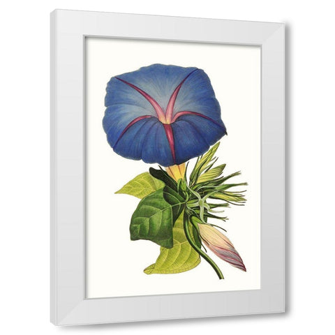Paxton Florals I White Modern Wood Framed Art Print by Paxton
