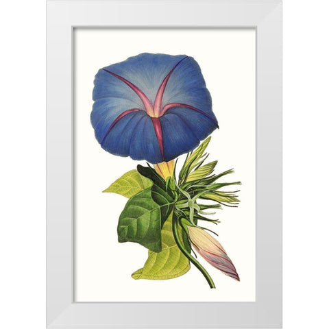 Paxton Florals I White Modern Wood Framed Art Print by Paxton