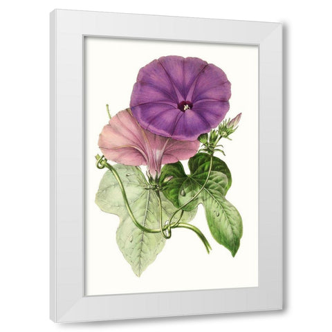 Paxton Florals III White Modern Wood Framed Art Print by Paxton