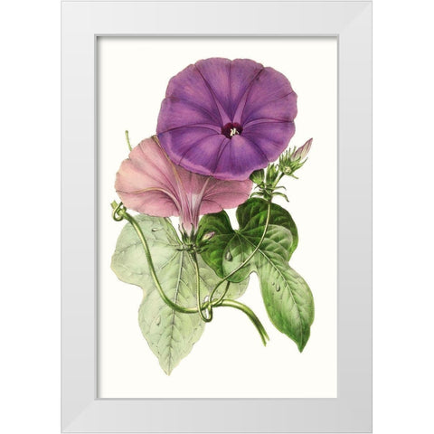 Paxton Florals III White Modern Wood Framed Art Print by Paxton