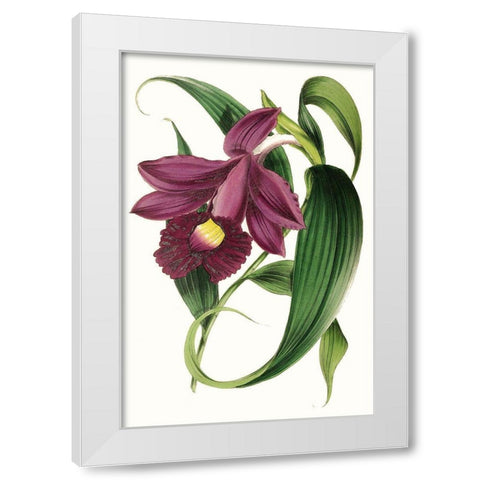 Paxton Florals V White Modern Wood Framed Art Print by Paxton
