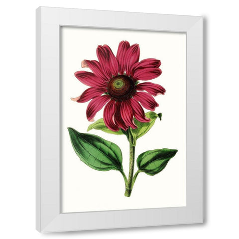 Paxton Florals VI White Modern Wood Framed Art Print by Paxton