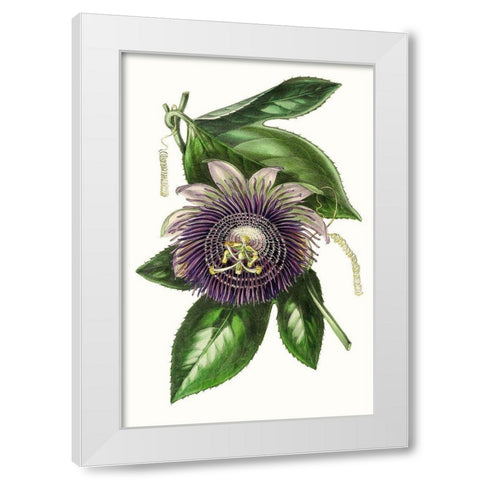 Paxton Florals VII White Modern Wood Framed Art Print by Paxton