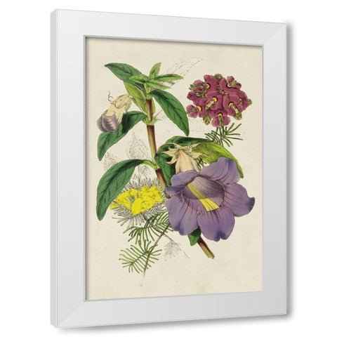 Paxton Botanical Pairing I White Modern Wood Framed Art Print by Paxton