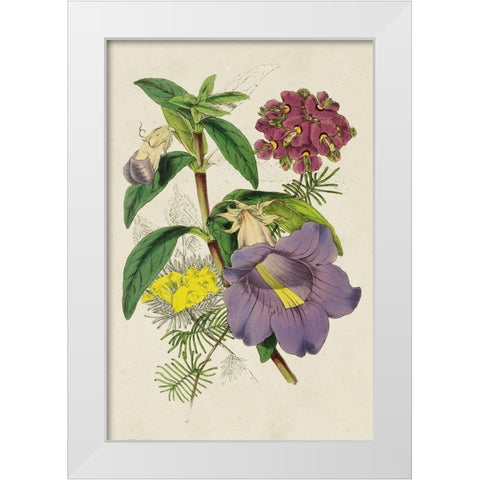 Paxton Botanical Pairing I White Modern Wood Framed Art Print by Paxton