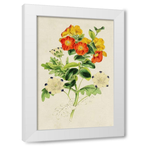Paxton Botanical Pairing II White Modern Wood Framed Art Print by Paxton