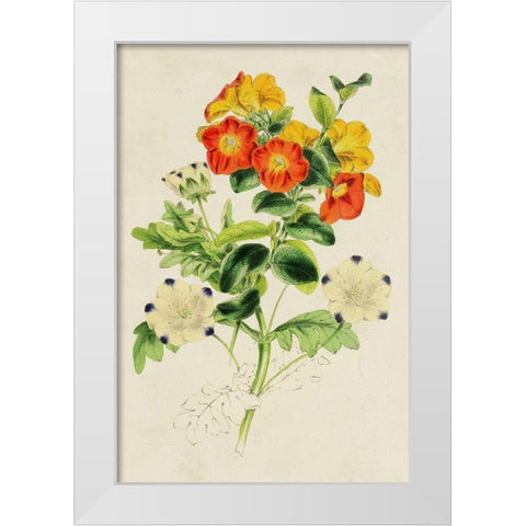 Paxton Botanical Pairing II White Modern Wood Framed Art Print by Paxton