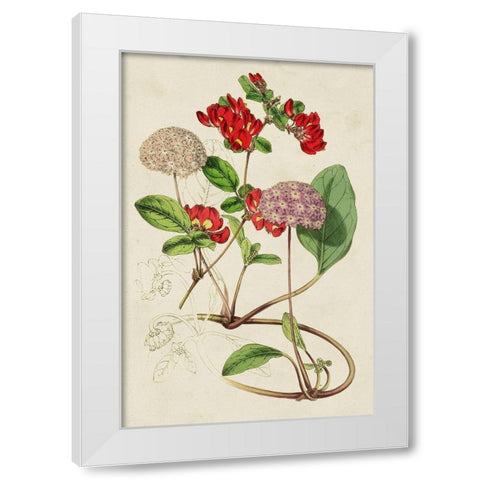 Paxton Botanical Pairing III White Modern Wood Framed Art Print by Paxton
