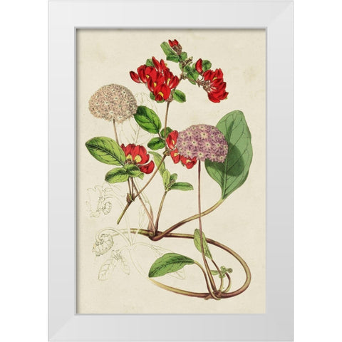 Paxton Botanical Pairing III White Modern Wood Framed Art Print by Paxton