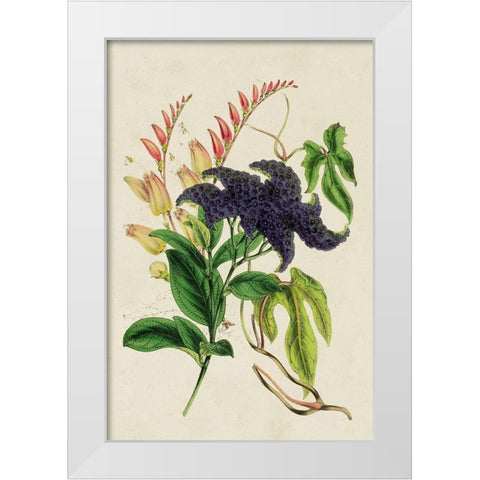 Paxton Botanical Pairing IV White Modern Wood Framed Art Print by Paxton