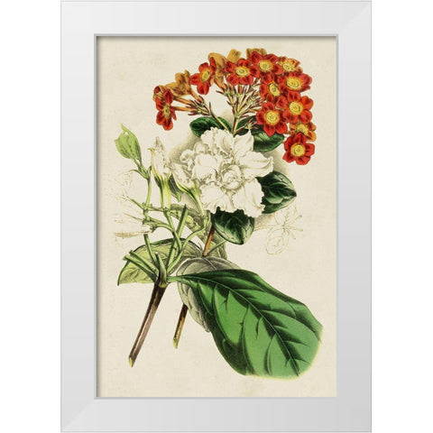 Paxton Botanical Pairing V White Modern Wood Framed Art Print by Paxton