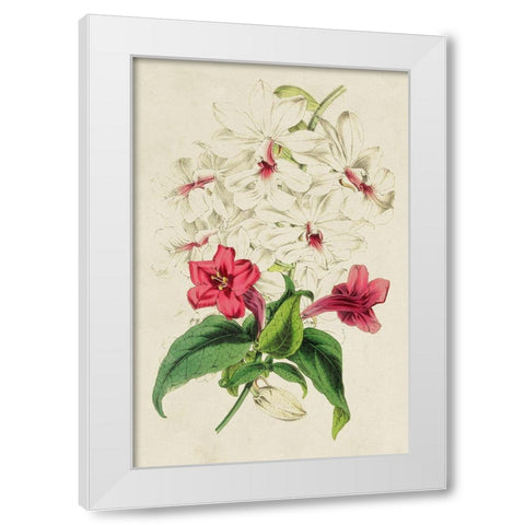 Paxton Botanical Pairing VI White Modern Wood Framed Art Print by Paxton