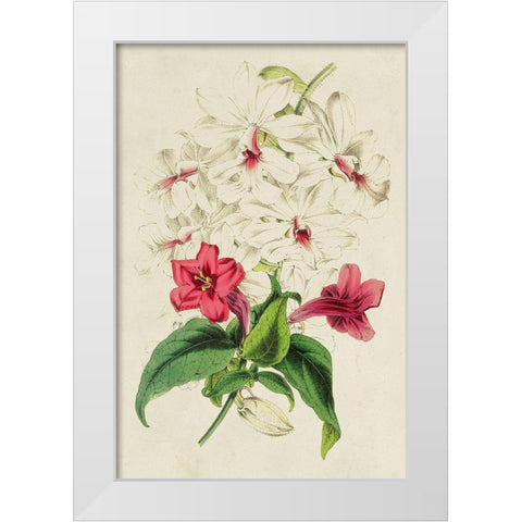 Paxton Botanical Pairing VI White Modern Wood Framed Art Print by Paxton