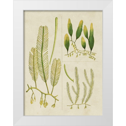 Vintage Sea Grass I White Modern Wood Framed Art Print by Vision Studio