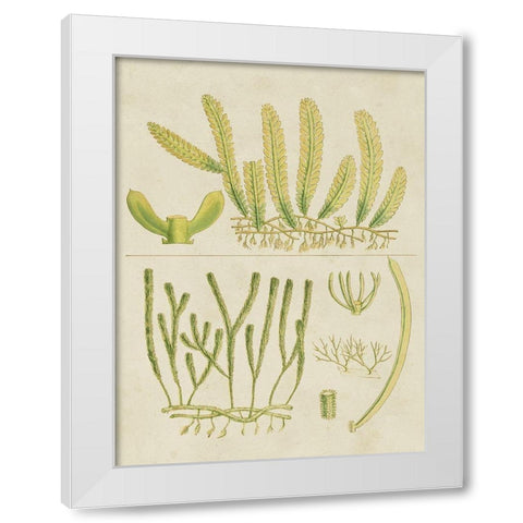 Vintage Sea Grass V White Modern Wood Framed Art Print by Vision Studio