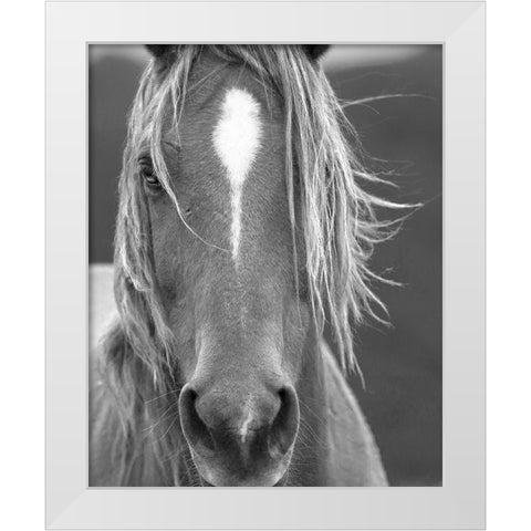 Close Up White Modern Wood Framed Art Print by Linden, Sally