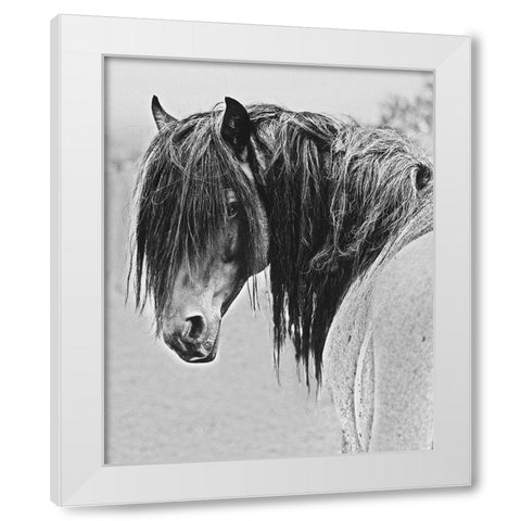 Freedom White Modern Wood Framed Art Print by Linden, Sally