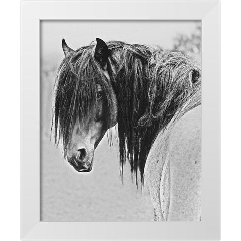 Freedom White Modern Wood Framed Art Print by Linden, Sally