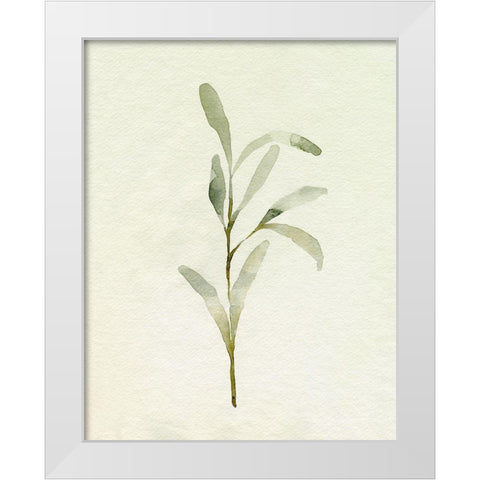 Olive Leaves I White Modern Wood Framed Art Print by Caroline, Emma