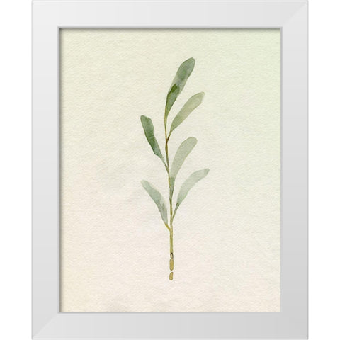 Olive Leaves II White Modern Wood Framed Art Print by Caroline, Emma