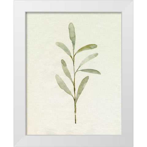Olive Leaves III White Modern Wood Framed Art Print by Caroline, Emma
