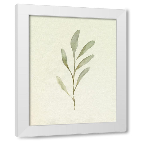 Olive Leaves IV White Modern Wood Framed Art Print by Caroline, Emma