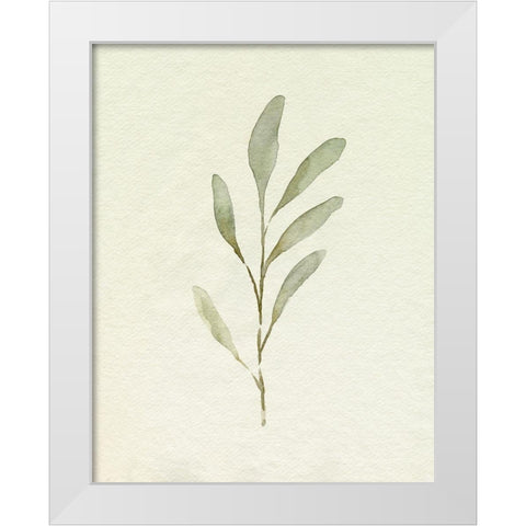 Olive Leaves IV White Modern Wood Framed Art Print by Caroline, Emma